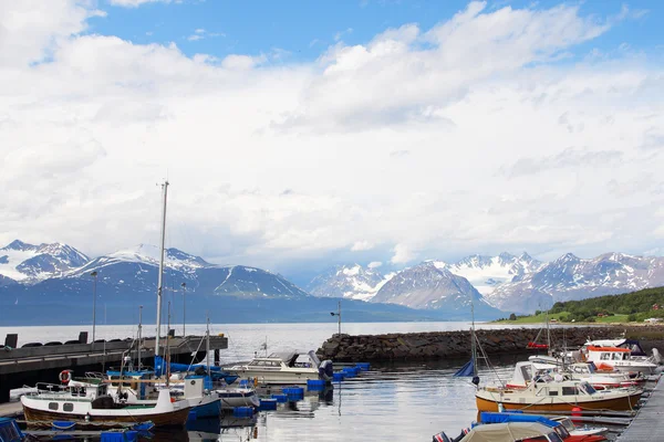 Arctische bergen en fjord Rechtenvrije Stockfoto's