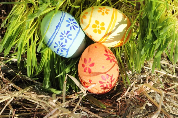 Ovos de Páscoa na grama verde e feno — Fotografia de Stock