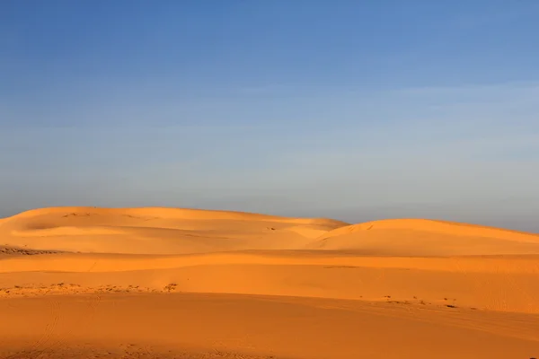Homok sivatagban — Stock Fotó