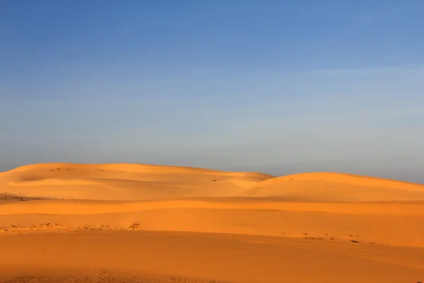 Sand desert — Stockfoto