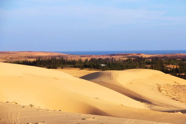 Оазис в пустыне — стоковое фото