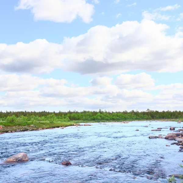 Landschap met bos rivier — Stockfoto