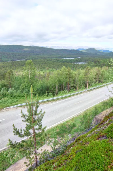 Landscape with forest and road — Stock Photo, Image