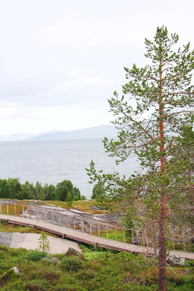 ノルウェーの公園 — ストック写真