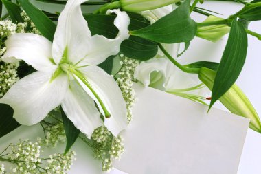 Beyaz Zambak çiçekler ve posta kartı