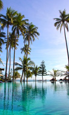 Tropik bir plajda havuz