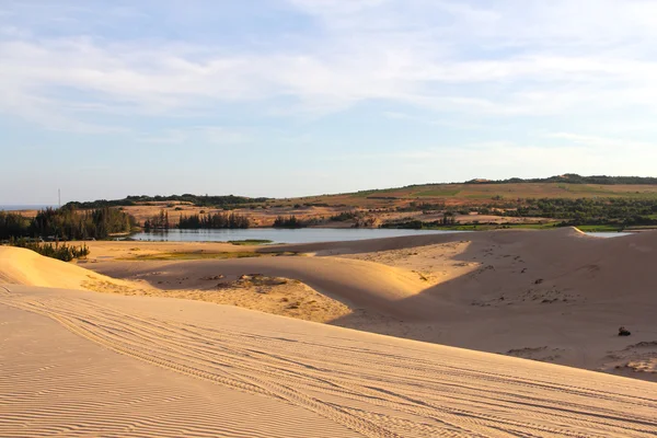 Sandwüste und See — Stockfoto