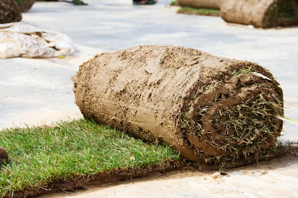 Turf grass rolls — Stock Photo, Image