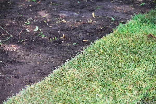 Green sod grass and brown earth — Stock Photo, Image