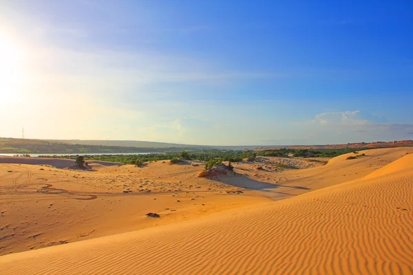 Sand desert — Stockfoto