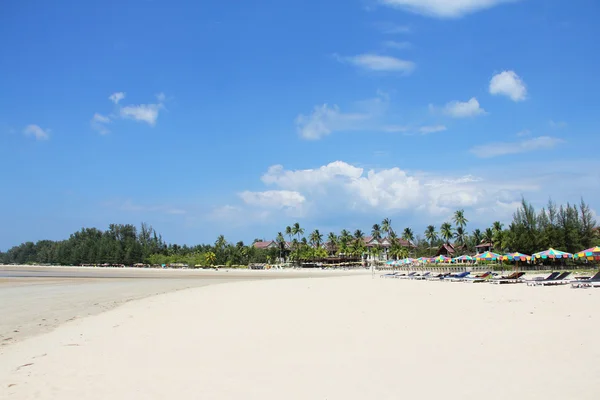 Tropisch strand — Stockfoto