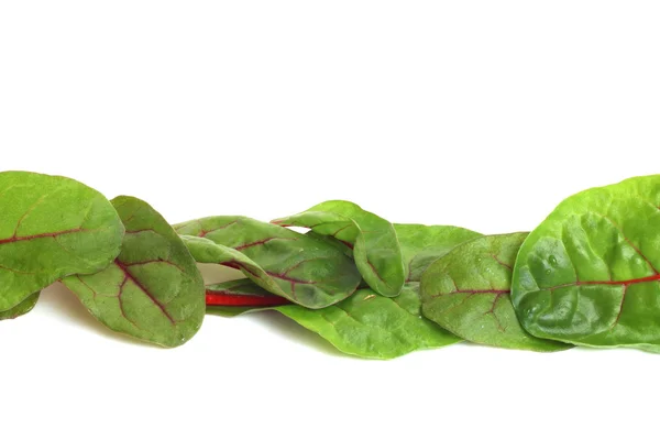 Mangold salad on white — Stock Photo, Image