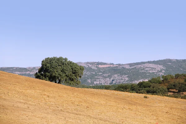 Paisagem espanhola — Fotografia de Stock