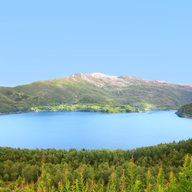 Kuzey Norveç peyzaj