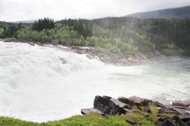 Yeşil ormanda şelale