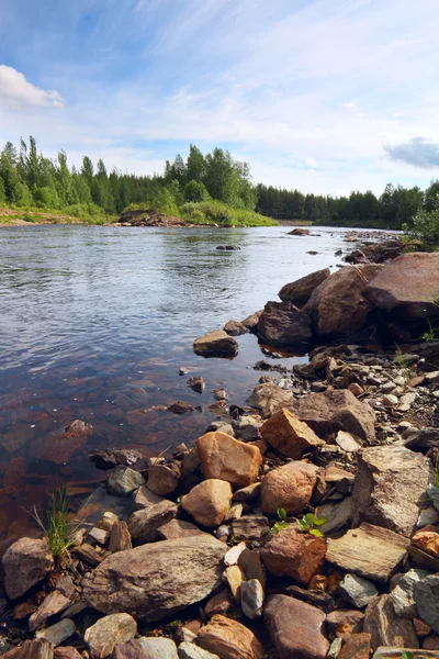 Lesní řeka — Stock fotografie