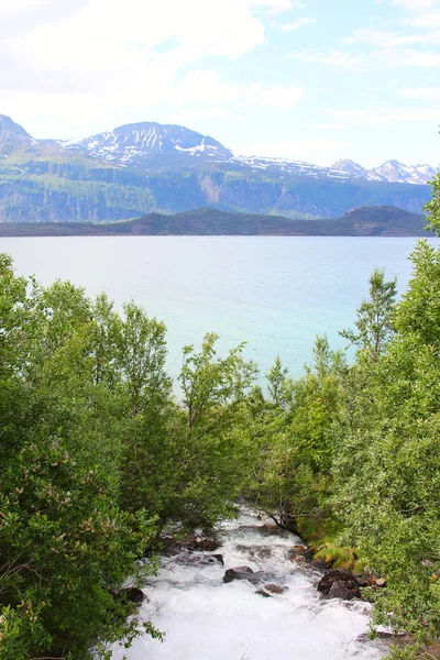 Fiume di montagna — Foto Stock