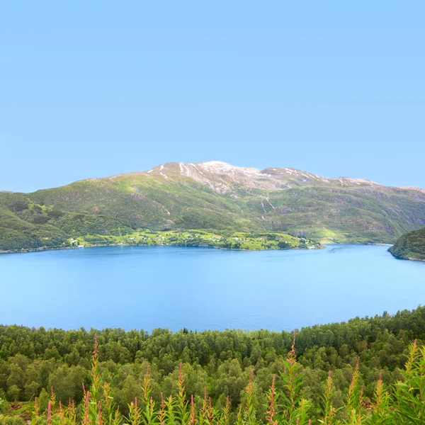 Noord Noorwegen landschap — Stockfoto
