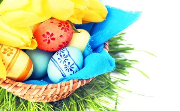 Basket of easter eggs and tulips on white — Stock Photo, Image