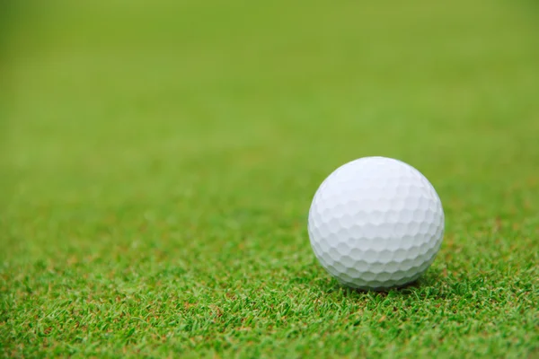 Golf topu kursu — Stok fotoğraf
