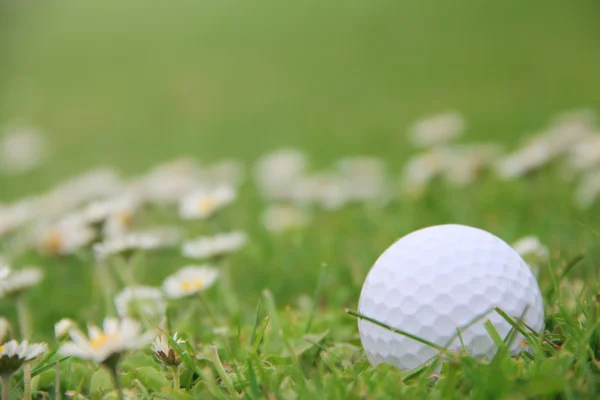 Golfboll på kurs — Stockfoto