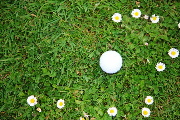 Bola de golfe no campo — Fotografia de Stock