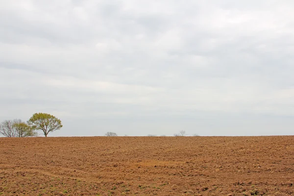 Ackerland trocken gepflügt — Stockfoto