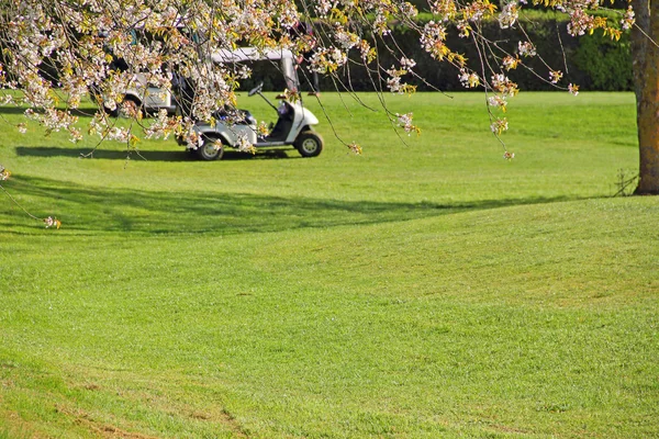 Golf arabasında kursu — Stok fotoğraf