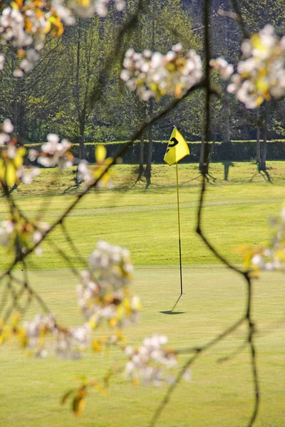 Golf vlag op cursus — Stockfoto