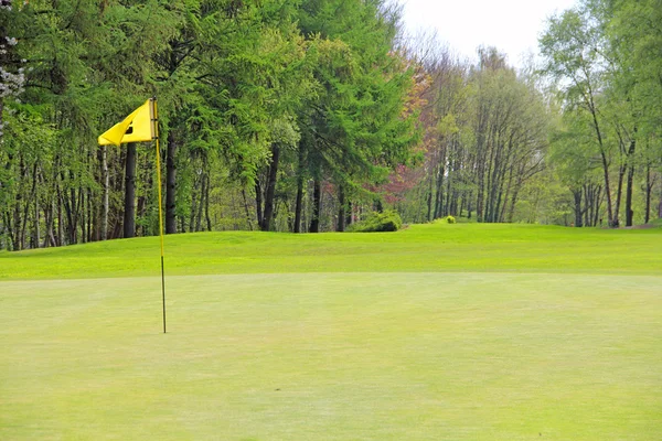 Флаг гольфа на поле — стоковое фото