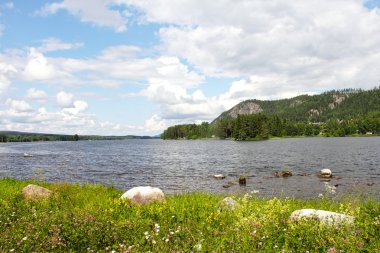 çiçekler anf fiyort