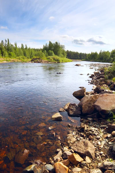 Lesní řeka — Stock fotografie