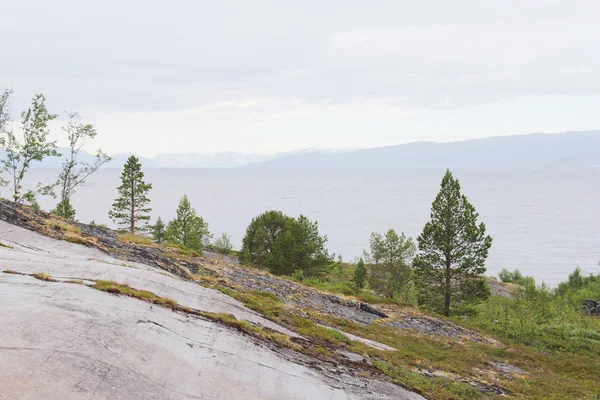 Norveç park — Stok fotoğraf