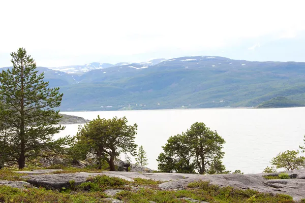 Paesaggio norvegese — Foto Stock