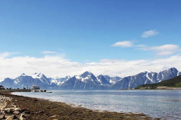 Arctische bergen en fjord — Stockfoto