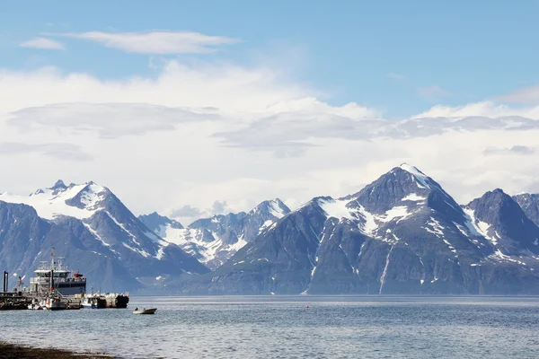 Arktische Berge und Fjord — Stockfoto