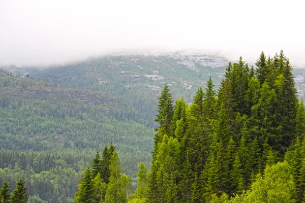 Foggy berg i Norge — Stockfoto