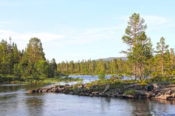 Wild glacier river — Stock Photo, Image