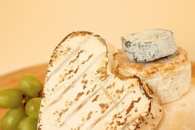 camembert peyniri topluluğu