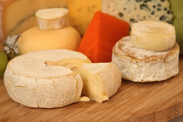 Various types of cheese — Stock Photo, Image