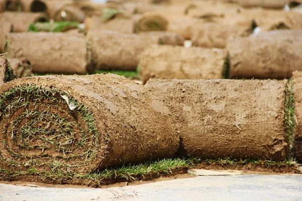 Turf grass rolls — Stock Photo, Image