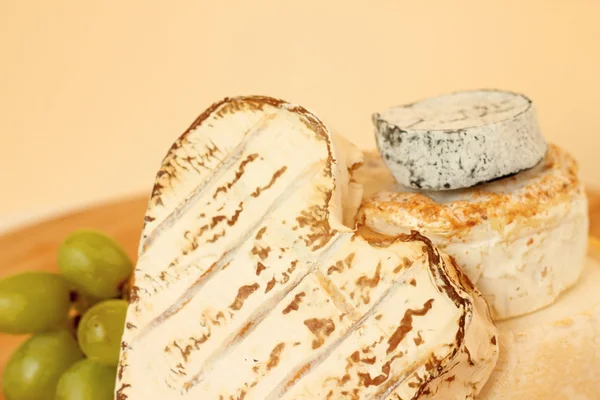 Collection of camembert cheese — Stock Photo, Image