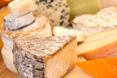 çeşitli peynir türleri