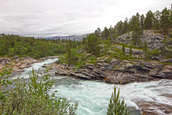 Vilda glacier river — Stockfoto