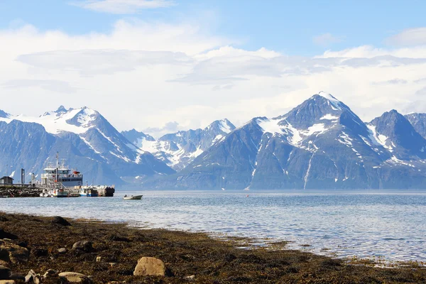 Arctic mountains and fjord — Stock Photo, Image