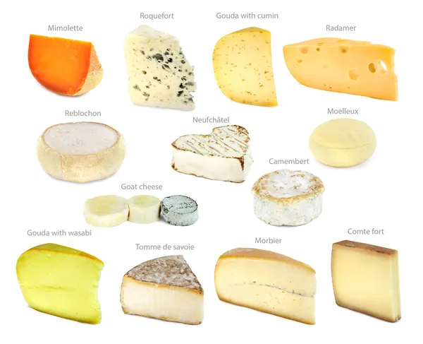 Collection de fromages français — Photo