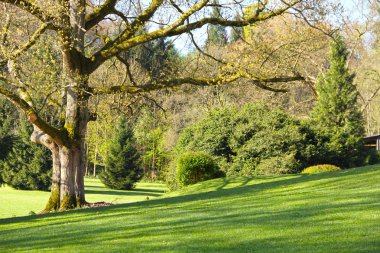 manzara güzel bahar
