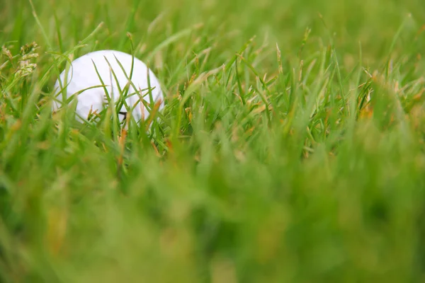 Golf topu kursu — Stok fotoğraf