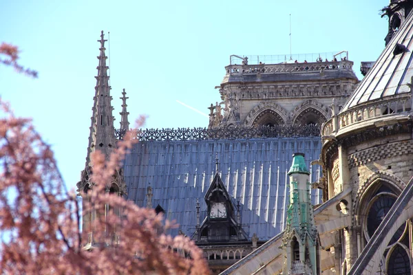 巴黎圣母大教堂(巴黎大教堂) — 图库照片