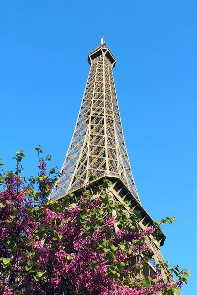 Torre Eiffel a Parigi, Francia — Foto Stock